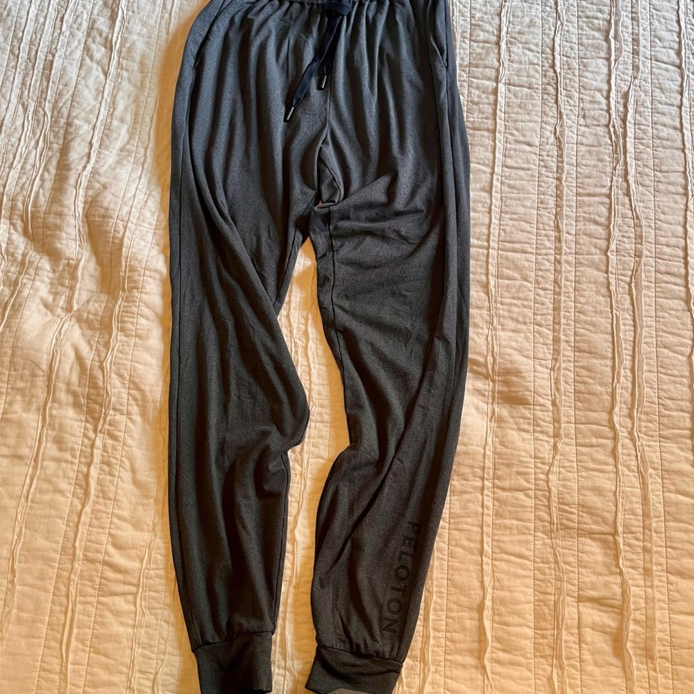 Peloton Gray Logo Jogger Pants (Blue Lining) XS